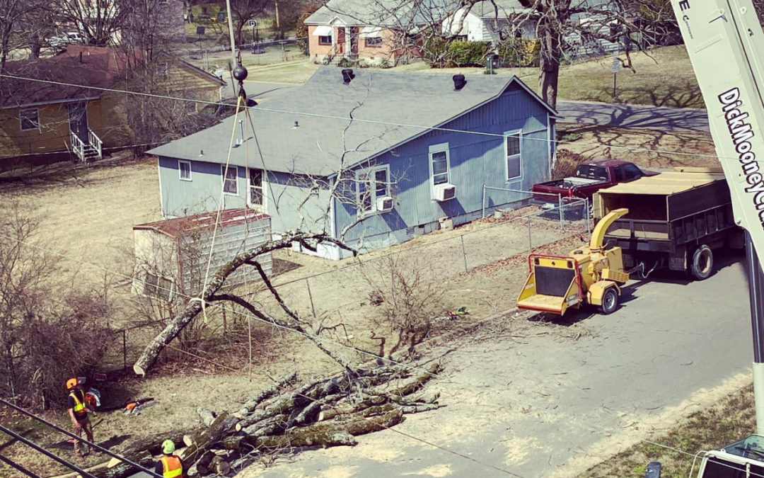 Benton, AR Tree Service Is Equipped For Emergency Tree Services