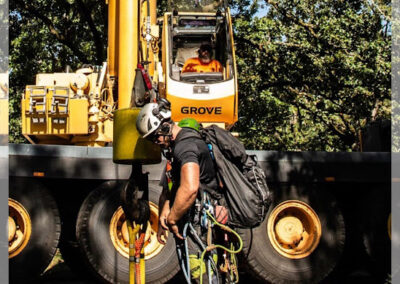 Tree Services Magnet Cove AR