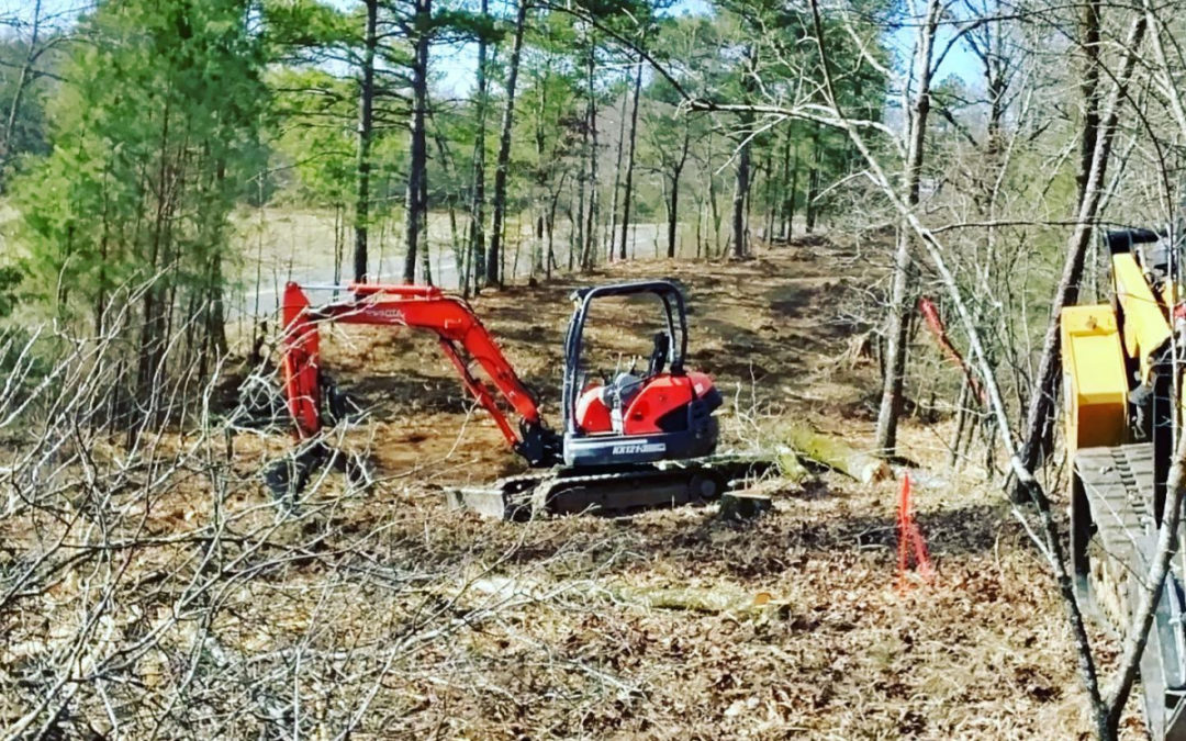 Expert Tree Service Offers Forestry Mulching in Western Central Arkansas