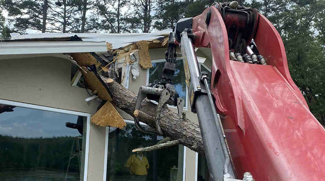5 Ways to Prevent a Tree from Falling on Your House